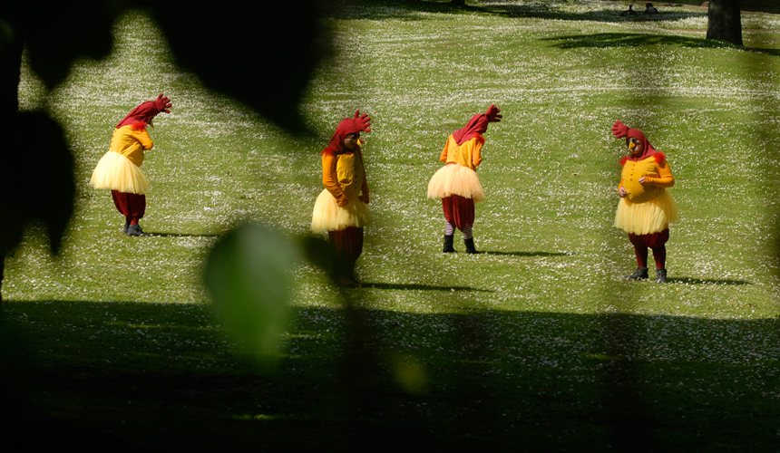 Picture of 4 people dressed as chickens on grass from a distance